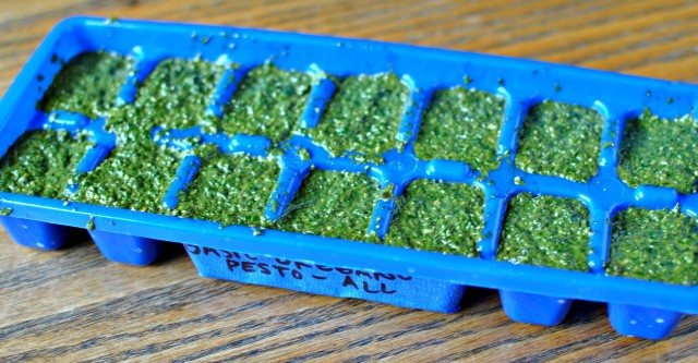 Basil and Spicy Oregano Pesto