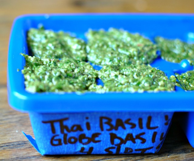 Thai & Globe Basil Pesto