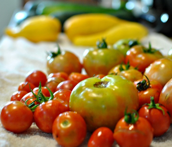 Garden fresh tomatoes