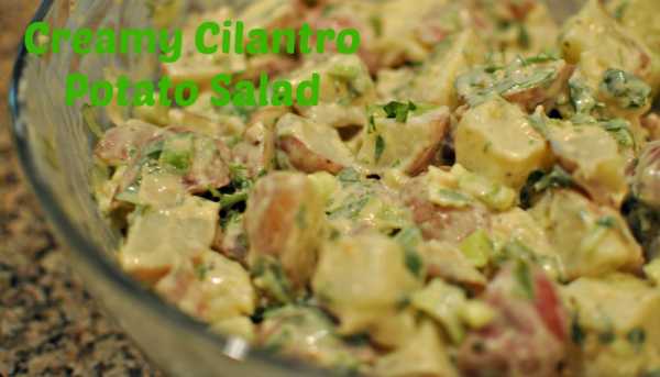 creamy cilantro potato salad