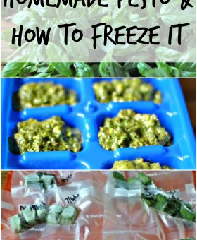 homemade pesto and how to freeze pesto