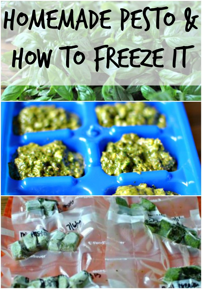 homemade pesto and how to freeze pesto