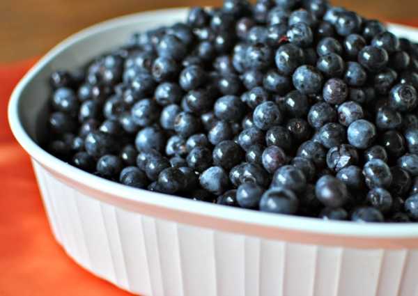 How to freeze blueberries from Becky's Best Bites