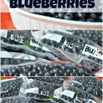 How to Freeze Blueberries