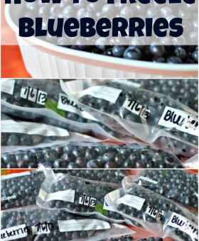 How to freeze blueberries