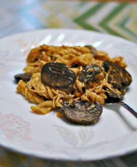 slow-cooker-mushroom-ranch-chicken