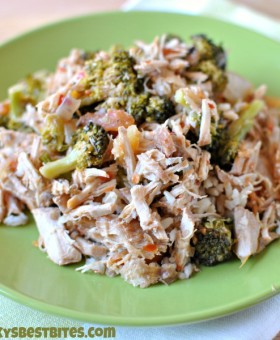 slow cooker italian pork and brocolli