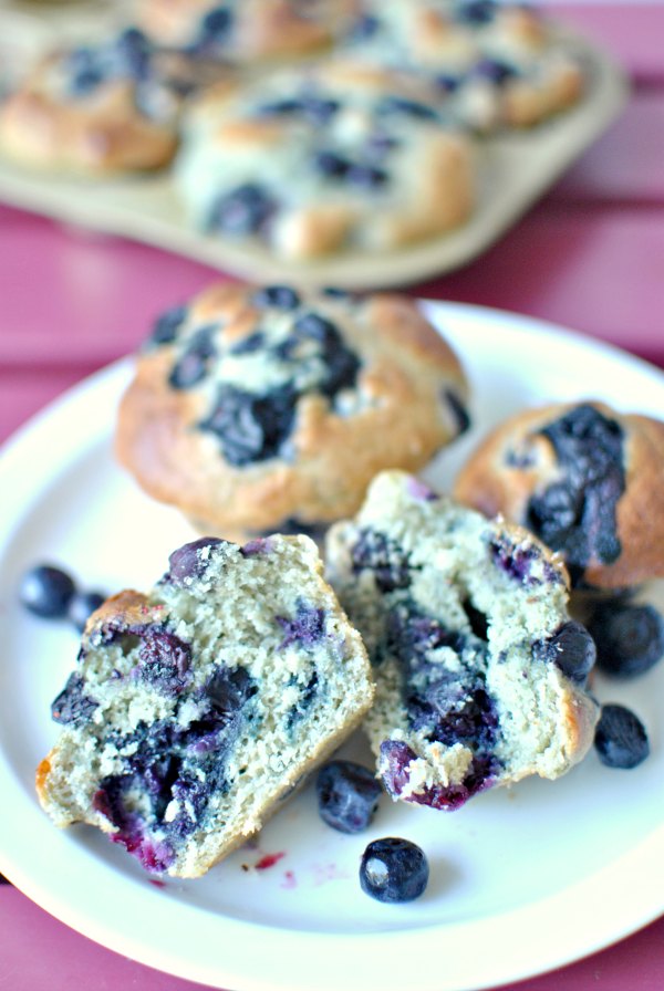 Protein Packed Blueberry Muffins recipe