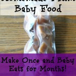 How To Make Homemade Plum Baby Food