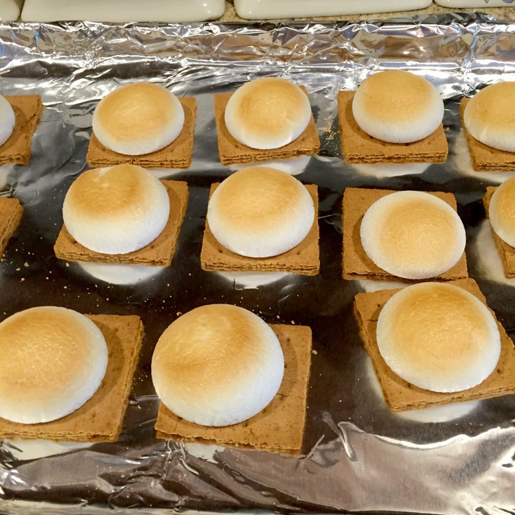 Fresh-from-the-Oven-10-Minute-Raspberry-Indoor-S'mores