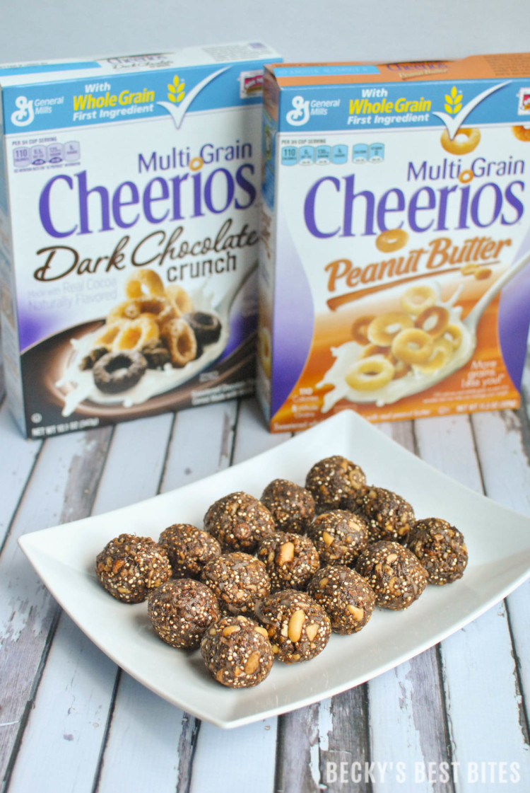 Dark Chocolate Peanut Butter Protein Bites with Toasted Quinoa-2