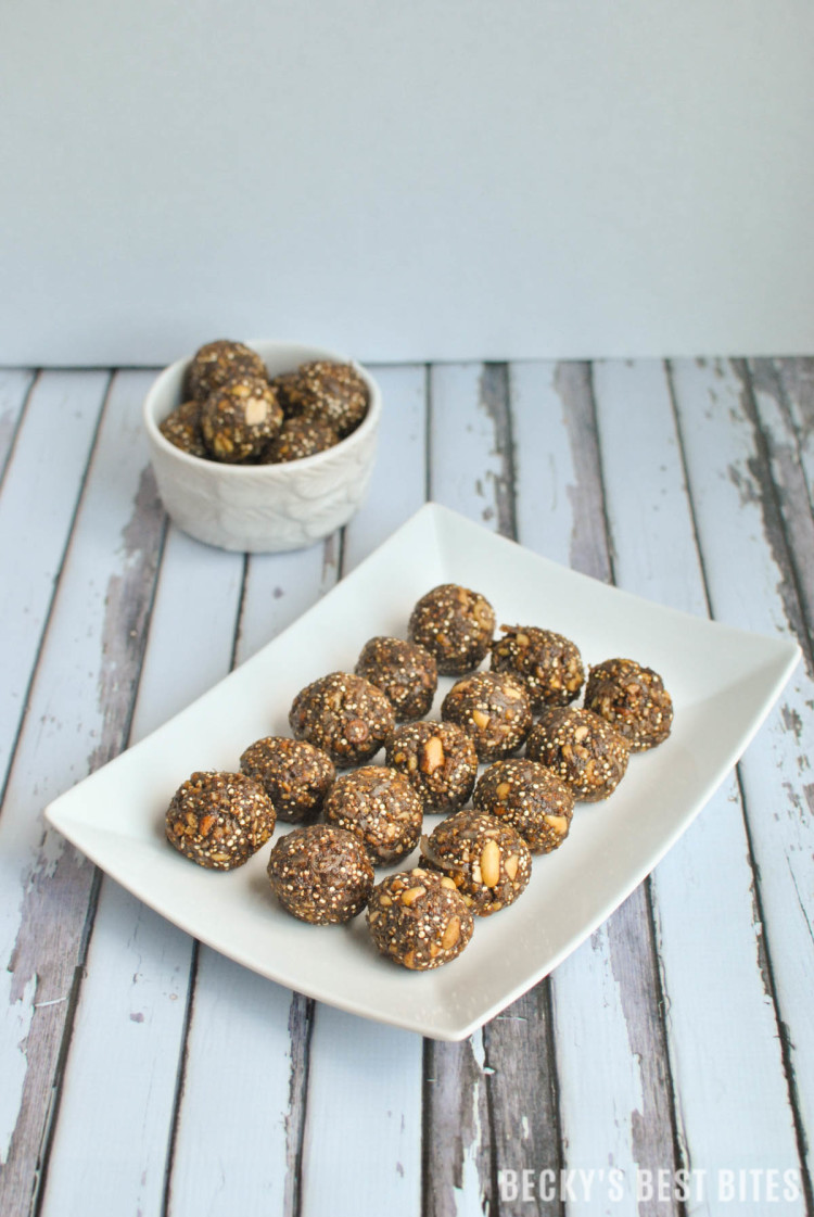 Dark Chocolate Peanut Butter Protein Bites with Toasted Quinoa-6