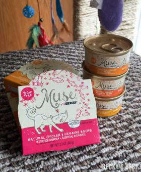 Purina Muse® Natural Cat Food | beckysbestbites.com