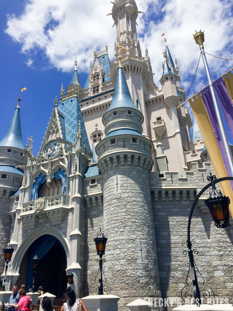 10 Tips for Surviving Disney with a 6 Year Old-12