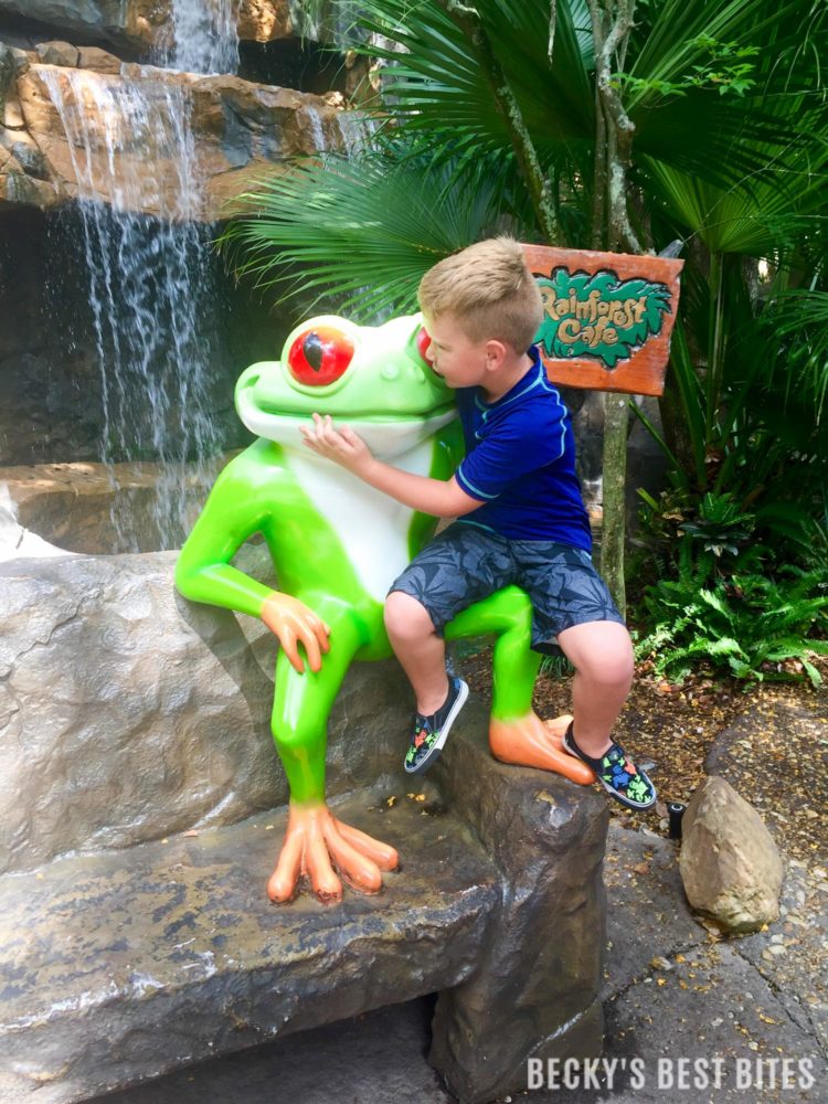 10 Tips for Surviving Disney with a 6 Year Old-9