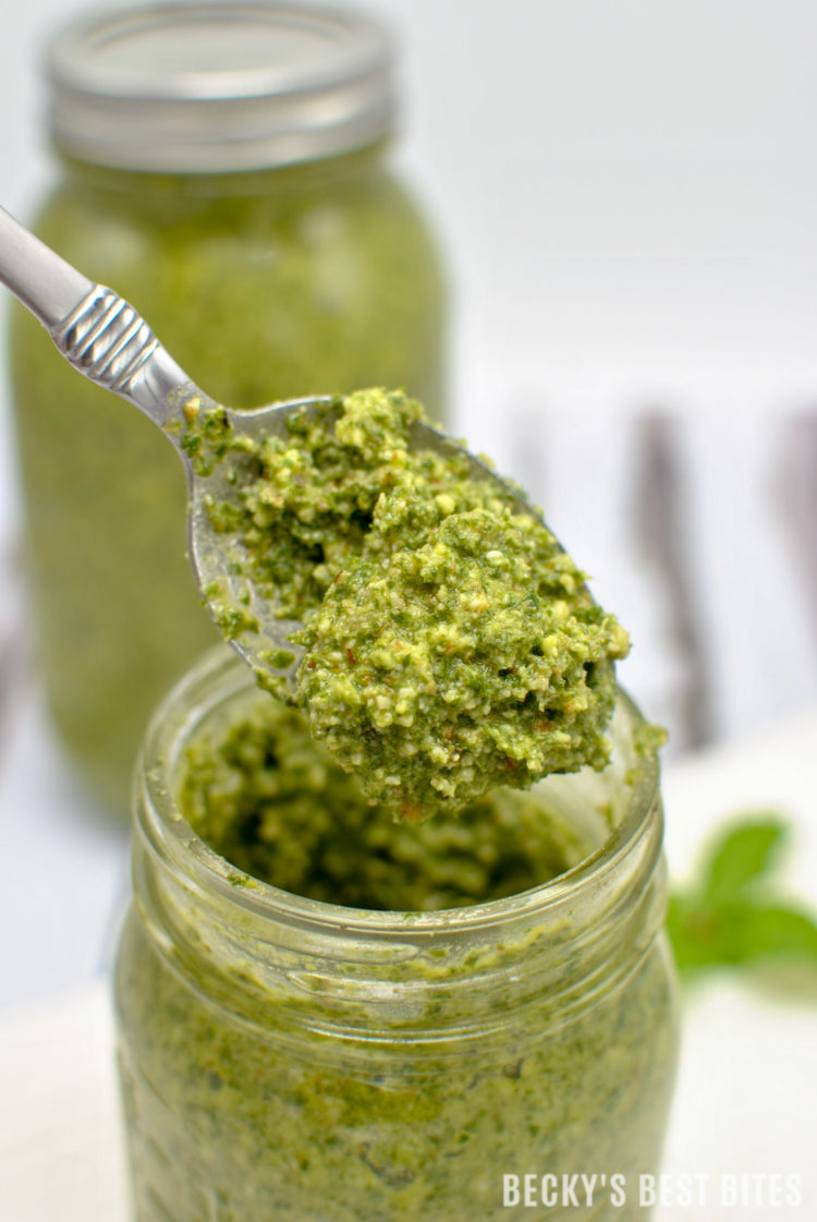 Lemon Mint Pesto is an unique version of the classic recipe. It is refreshing and bursting with summertime flavors! Also very versatile and can be used in just about anything from pasta dishes to chicken to seafood dinner meals. | beckysbestbites.com