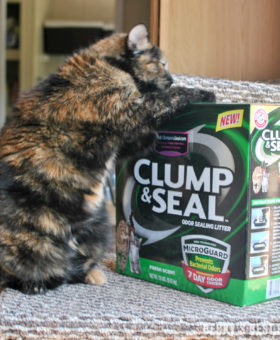 Get a Happier Home with ARM & HAMMER™ Clump & Seal™ MicroGuard™ Cat Litter! Experience the confidence of 7-day odor control—guaranteed thanks to the heavy-duty odor eliminators plus ARM & HAMMER™ Baking Soda that destroy immediate odors on contact. | beckysbestbites.com #clumpandseal #ad #sk