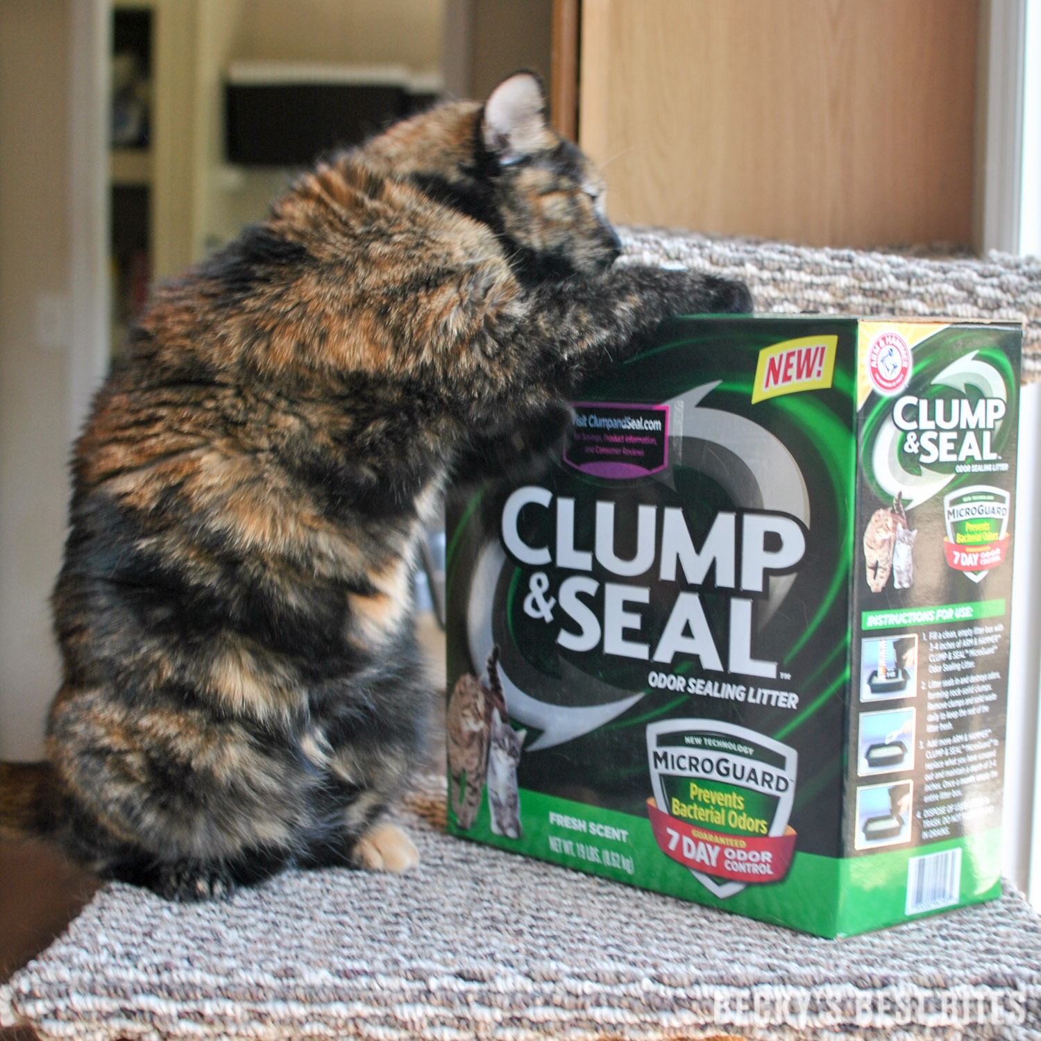 Get a Happier Home with ARM & HAMMER™ Clump & Seal™ MicroGuard™ Cat Litter! Experience the confidence of 7-day odor control—guaranteed thanks to the heavy-duty odor eliminators plus ARM & HAMMER™ Baking Soda that destroy immediate odors on contact. | beckysbestbites.com #clumpandseal #ad #sk