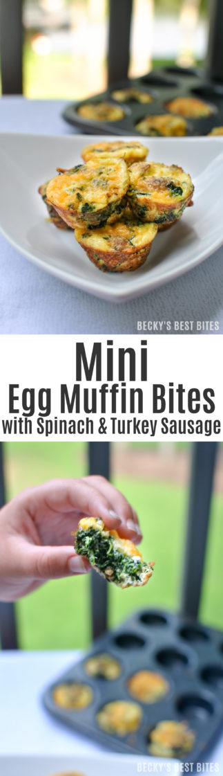 Mini Egg Muffin Bites with Spinach and Turkey Sausage is an easy kid-friendly recipe makes the perfect healthy on-the-go breakfast on crazy back to school days! You can customize these tasty bites with any vegetables and proteins that your family loves and freeze in large batches to make mornings a breeze! | beckysbestbites.com