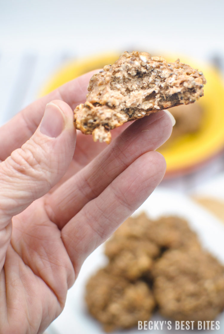 Peanut Butter Chocolate Protein Breakfast Cookies are a super easy & healthy recipe containing no added sugar or flour, limited ingredients & they are fresh out of the oven and ready in 15 minutes! | beckysbestbites.com