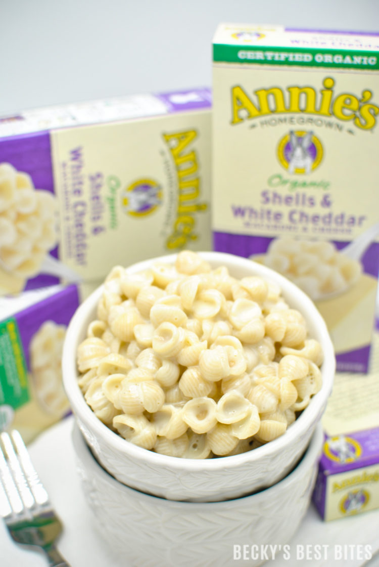 Got a busy summer planned? Feeding My Family Natural and Organic From Sam's Club couldn't be easier with this pantry staples to get food on the table fast! #RealGoodFood #ad| beckysbestbites.com @samsclub