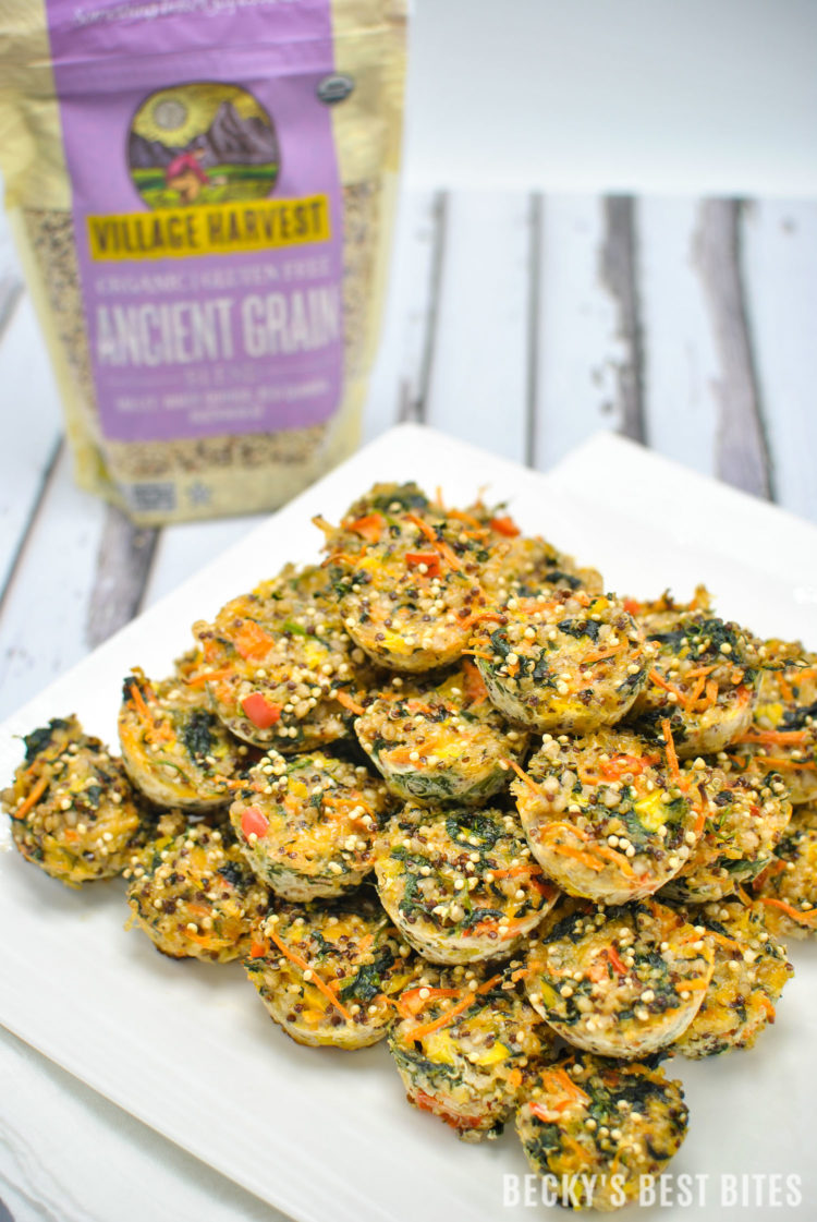 Ancient Grain Mini Veggie Bites are a healthy after-school snack for the kids! Freeze a large batch and then pop in the microwave for a quick and healthy snack or vegetarian meal. #vhblends #clvr #ad | beckysbestbites.com