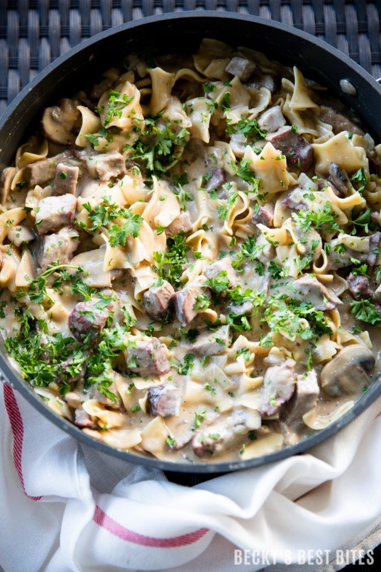 One Pot Beef and Mushroom Stroganoff - Budget Bytes