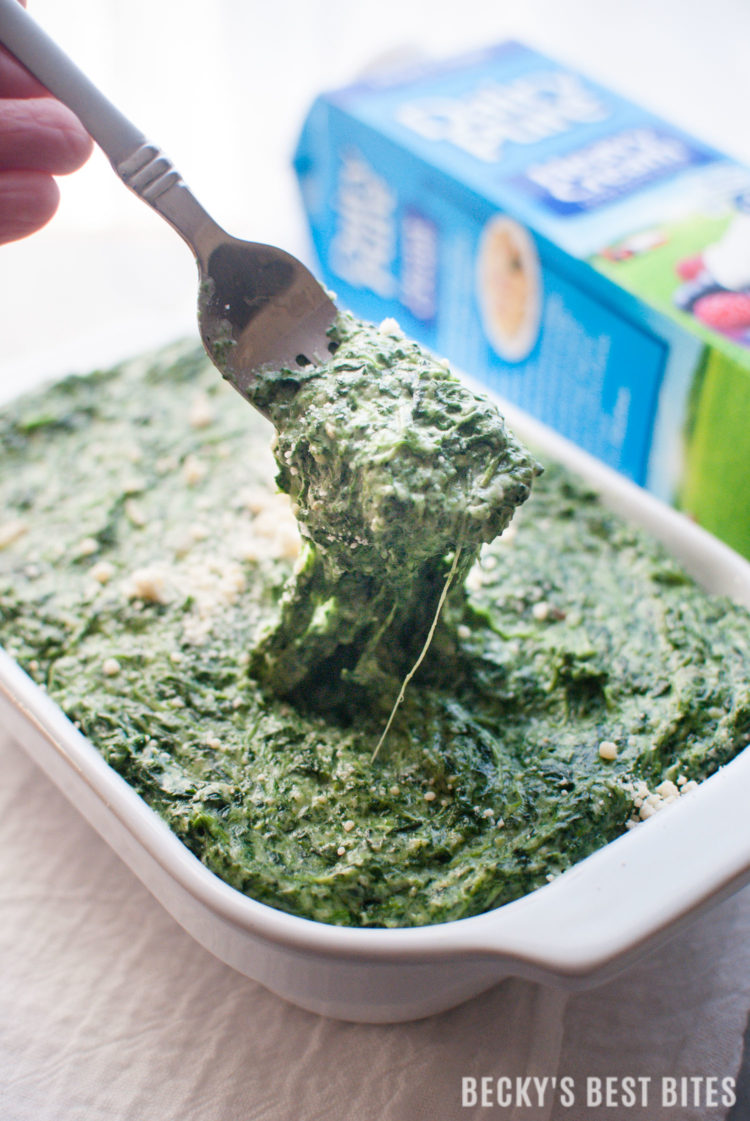 Easiest Creamed Spinach is a quick, 5 ingredient, holiday side dish recipe. Spend more time making memories and less time in the kitchen this holiday season by focusing on the ease and convenience of simple recipes for your family meals. #DairyPureandSimpleHolidays #ad | beckysbestbites.com