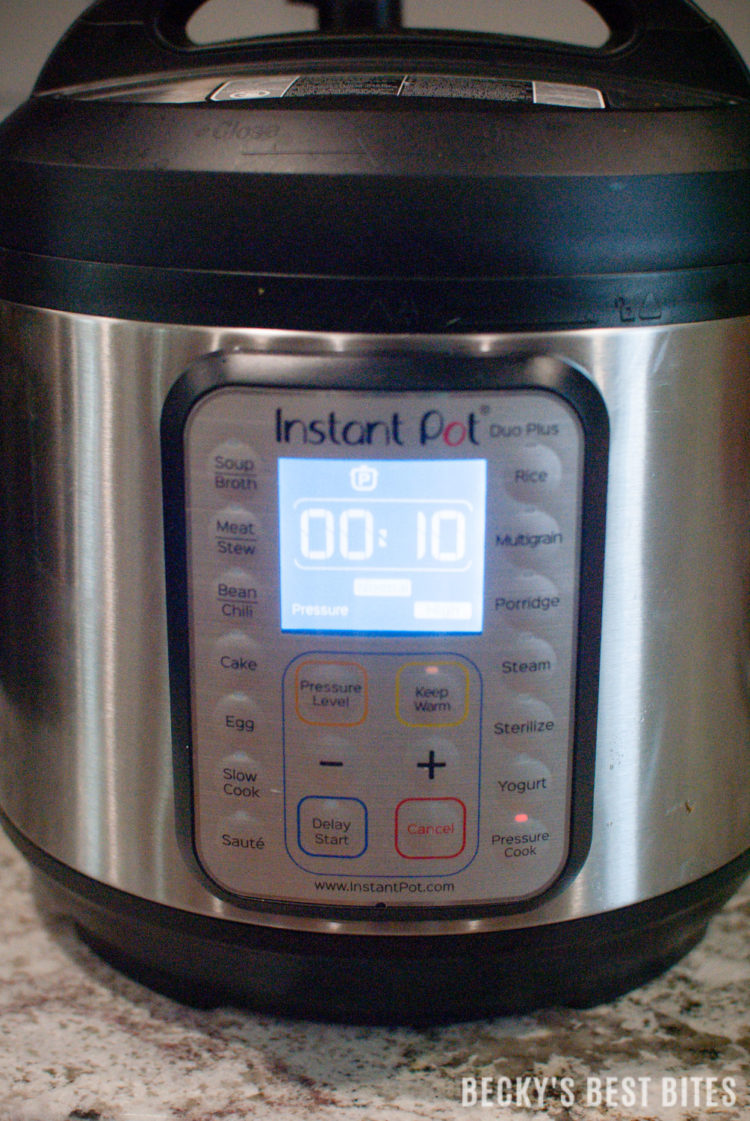 Instant pot duo frozen chicken online breast