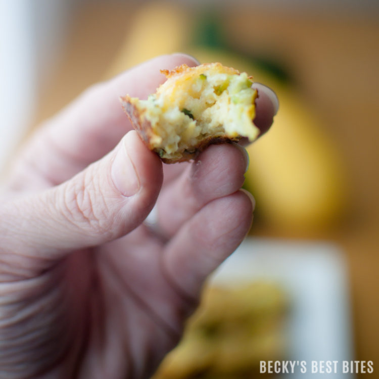 Summer Squash Egg Bites is an recipe that is very toddler and kid friendly! Yellow squash and zucchini are baked with eggs, cheese, breadcrumbs and fresh basil for an easy breakfast, lunch, a vegetarian dinner or an anytime snack. They are also freezer friendly to have on hand for quick meals. | beckysbestbites.com