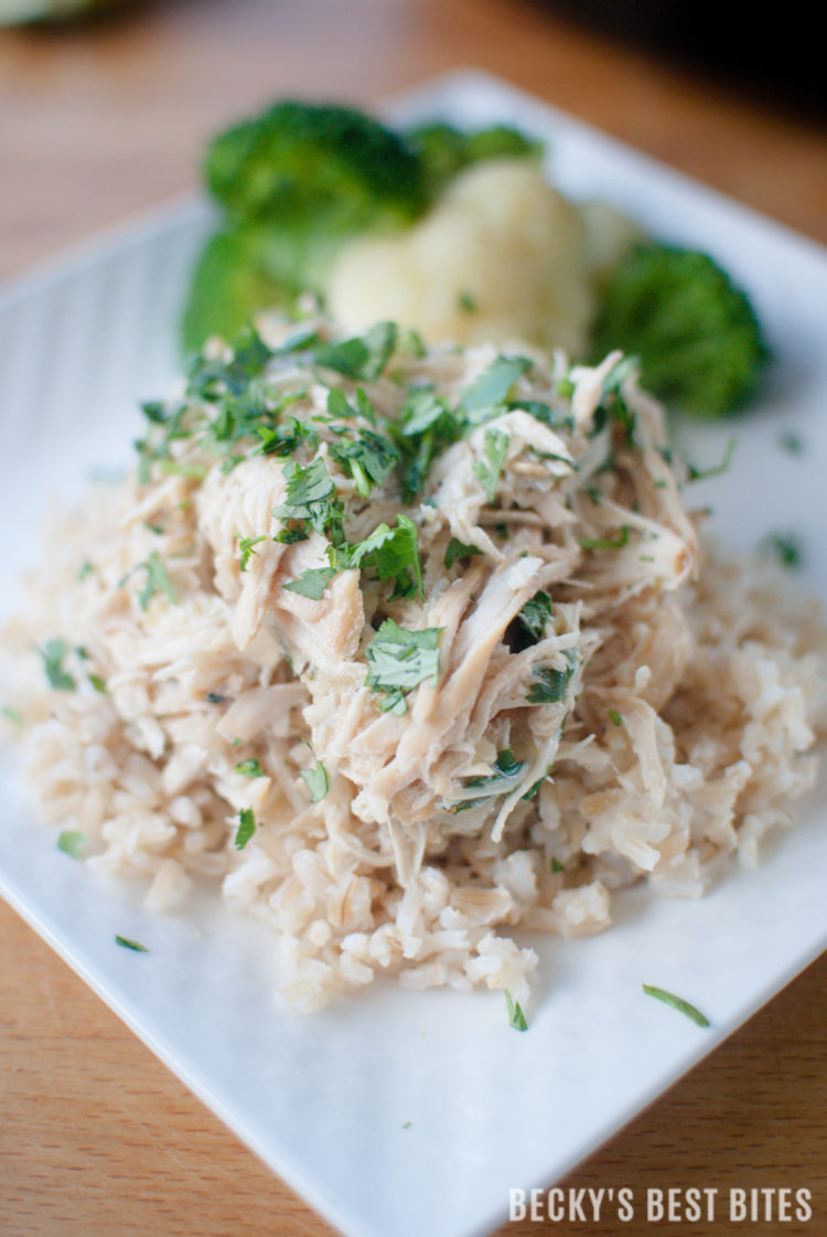 Slow Cooker Creamy Cilantro Lime Chicken is an easy and healthy dinner recipe that the whole family will love! Nobody will be the wiser of the healthy swap of protein-rich greek yogurt for the heavy cream! Take 10 minutes in the morning to have this yummy dinner waiting on your family when you get home! | beckysbestbites.com